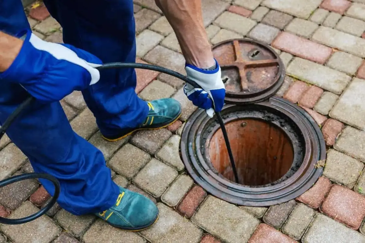 Drain Cleaning Services in La Verne, CA